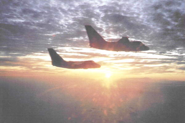 Sunset Flight